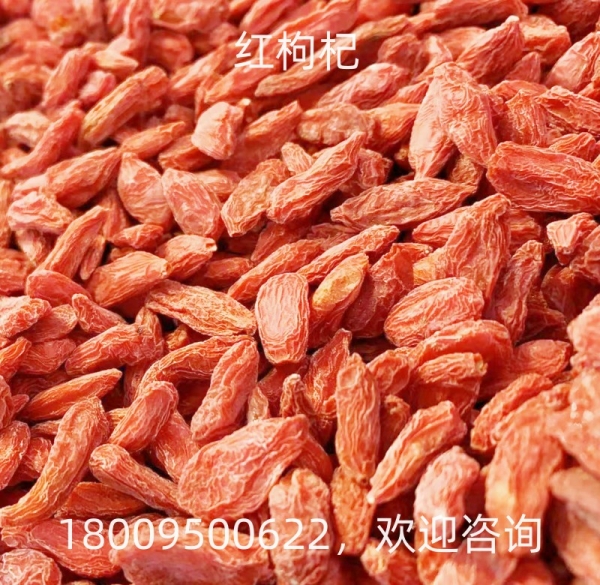 枸杞（宁夏）