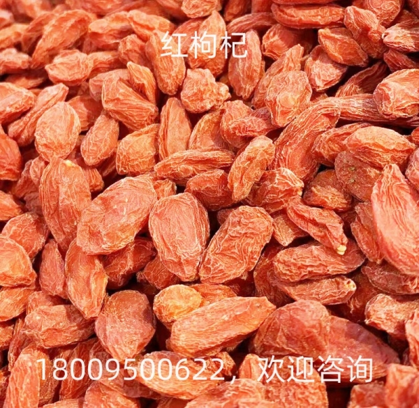 枸杞（宁夏）
